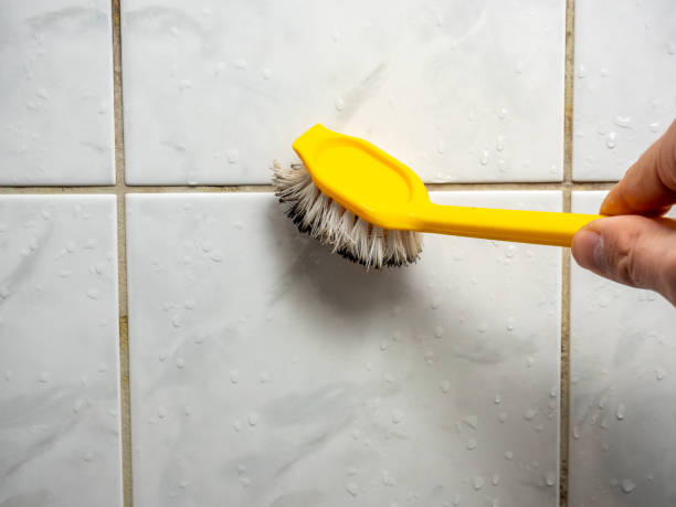 Best Residential Mold Remediation in Ladonia, AL