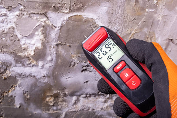 Best Insurance-Related Mold Remediation in Ladonia, AL