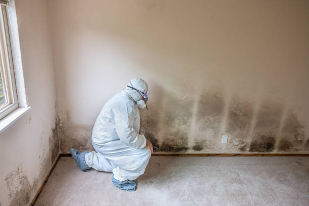 Best Crawl Space Mold Remediation in Ladonia, AL
