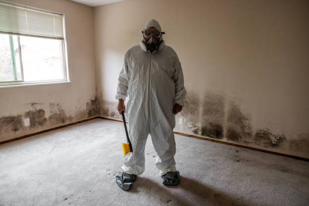 Trusted Ladonia, AL Mold Remediation Experts